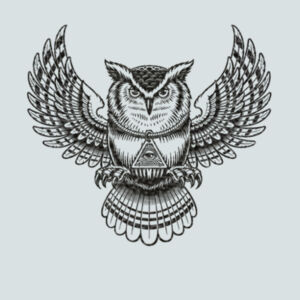 3rd Eye Owl (Metallic Black) - Ladies Favorite 50/50 Blend V Neck Design