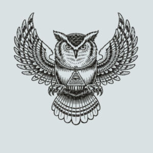 3rd Eye Owl (Metallic Black) - Ladies Fan Favorite Cotton T Design