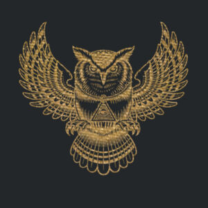 3rd Eye Owl (Metallic Gold) - Ladies Favorite 50/50 Blend V Neck Design