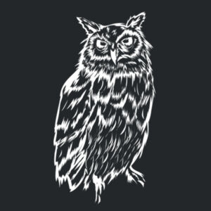 Night Owl (White) - Ladies Fan Favorite Cotton T Design