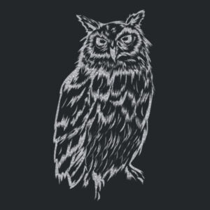 Night Owl (Metallic Silver) - Ladies Fan Favorite Cotton T Design