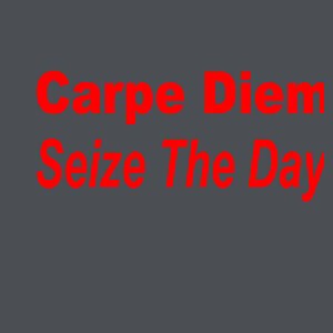 Carpe Diem - Ladies Fan Favorite T Design