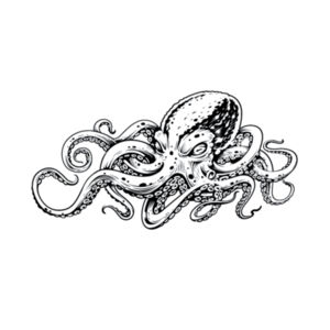 Octopus - Youth Jersey Short Sleeve Tee Design