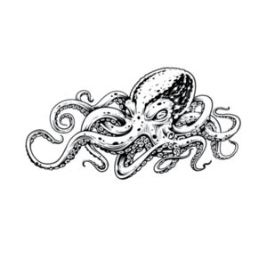 Octopus - Unisex Premium Cotton Long Sleeve T-Shirt Design