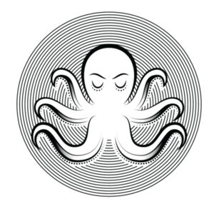 Octopus 2 - Youth Jersey Short Sleeve Tee Design