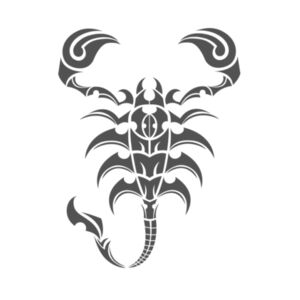 Scorpion Dark Grey - Unisex Premium Cotton Long Sleeve T-Shirt Design