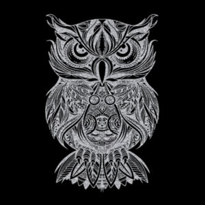 Owl Silver - Youth Jersey Short Sleeve Tee Design