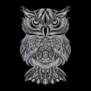 Owl Silver - Unisex Premium Cotton Long Sleeve T-Shirt Design