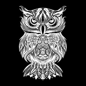 Owl White - Youth Jersey Short Sleeve Tee Design