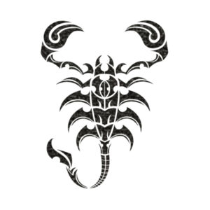 Scorpion Black - Youth Jersey Short Sleeve Tee Design