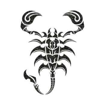 Scorpion Black - Women's Premium Cotton T-Shirt Design