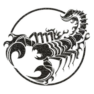Scorpion 2 Black - Youth Jersey Short Sleeve Tee Design