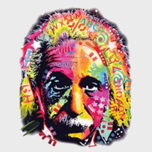 Einstein - Adult 50/50 Blend Hoodie Design