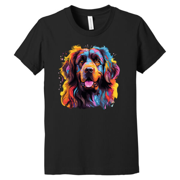 Newfoundland - Youth Jersey Short Sleeve Tee Thumbnail