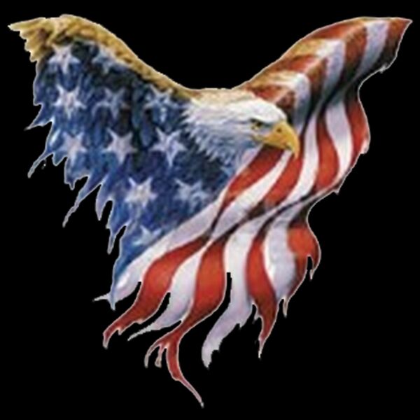 American Eagle Thumbnail