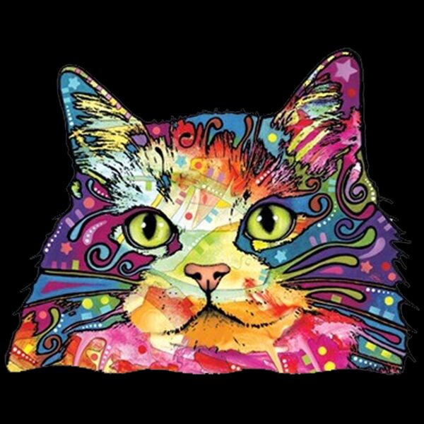 Colorful Cat Thumbnail