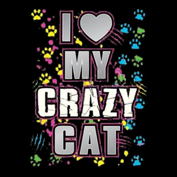 My Crazy Cat Thumbnail