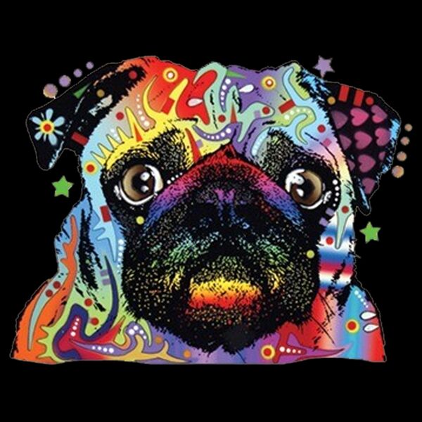 Colorful Pug Thumbnail