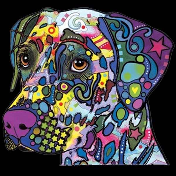 Colorful Dalmation Thumbnail
