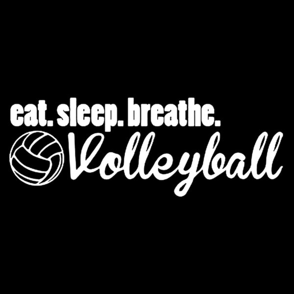 Volleyball Thumbnail