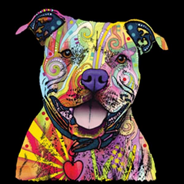 Colorful Pitbull 2 Thumbnail