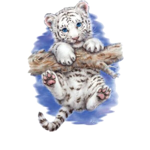 Baby Tiger Thumbnail