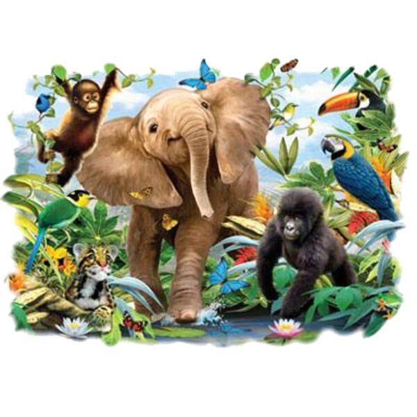 The Jungle Thumbnail