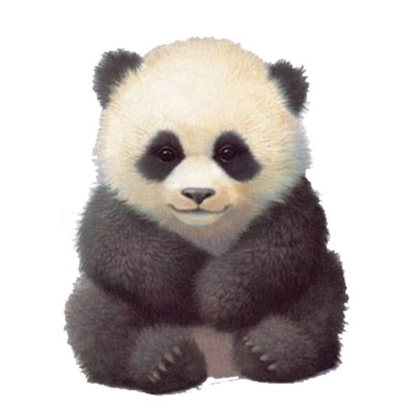Baby Panda Bear Thumbnail