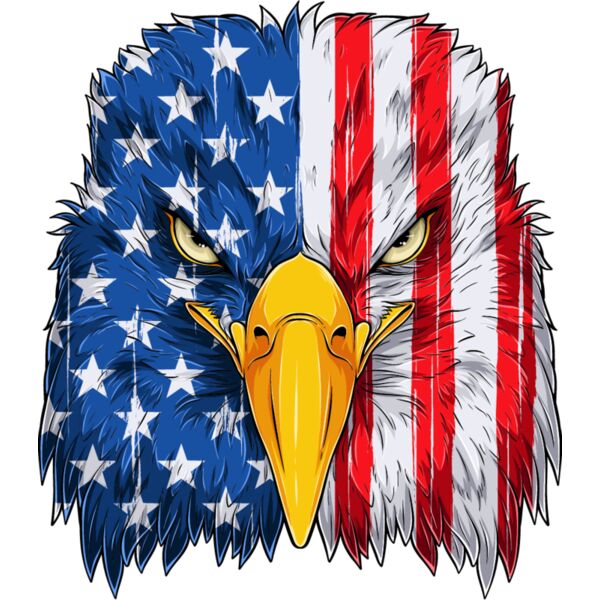 USA Bald Eagle Thumbnail