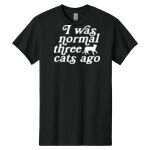 Heavy Cotton ™ 100% Cotton T Shirt Thumbnail